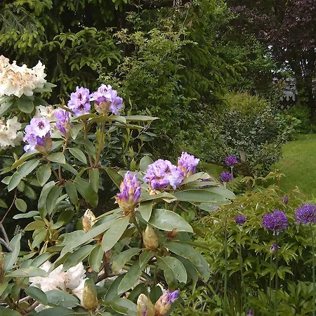 Aparthotel Landhotel Eva 3*