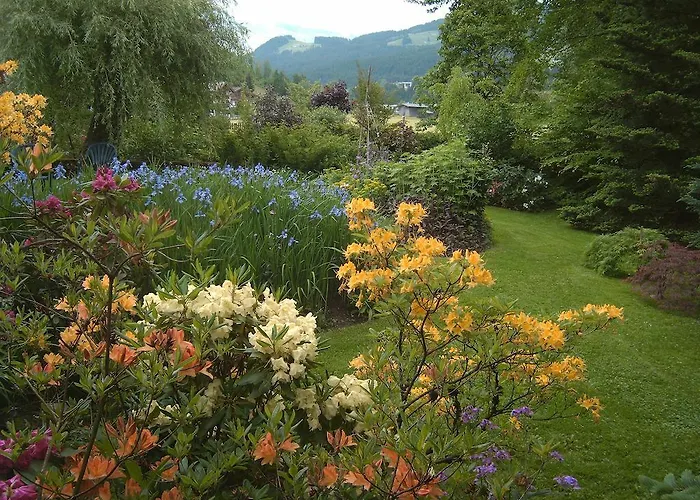 شقة فندقية Eva