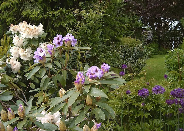 아파트호텔 Eva 3*